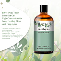 pure essential oil eucalyptus