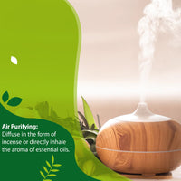 air purifying essential oils